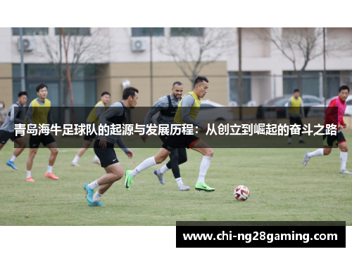 青岛海牛足球队的起源与发展历程：从创立到崛起的奋斗之路