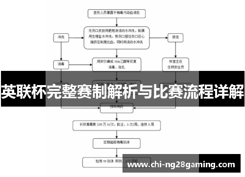 英联杯完整赛制解析与比赛流程详解 英联杯完整赛制解析与比赛流程详解